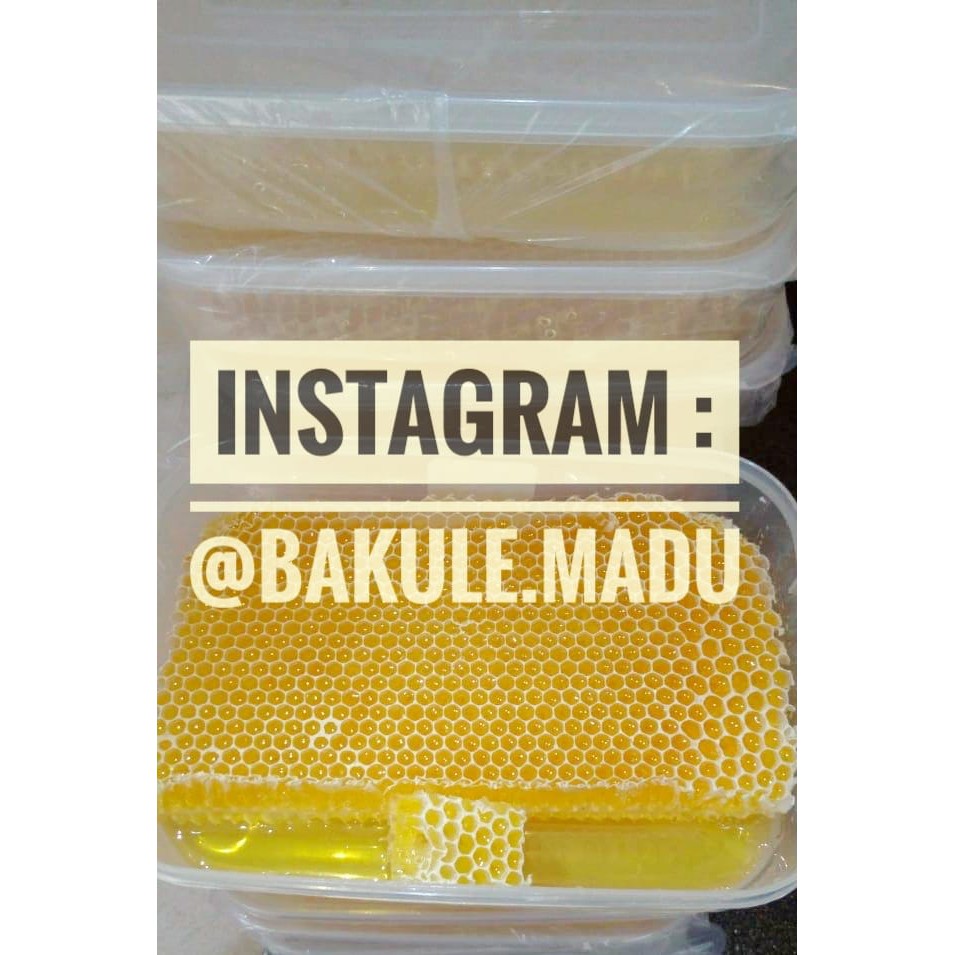 

Madu + Sarang Madu (Mengandung Pollen dan Propolis) - MMD2289