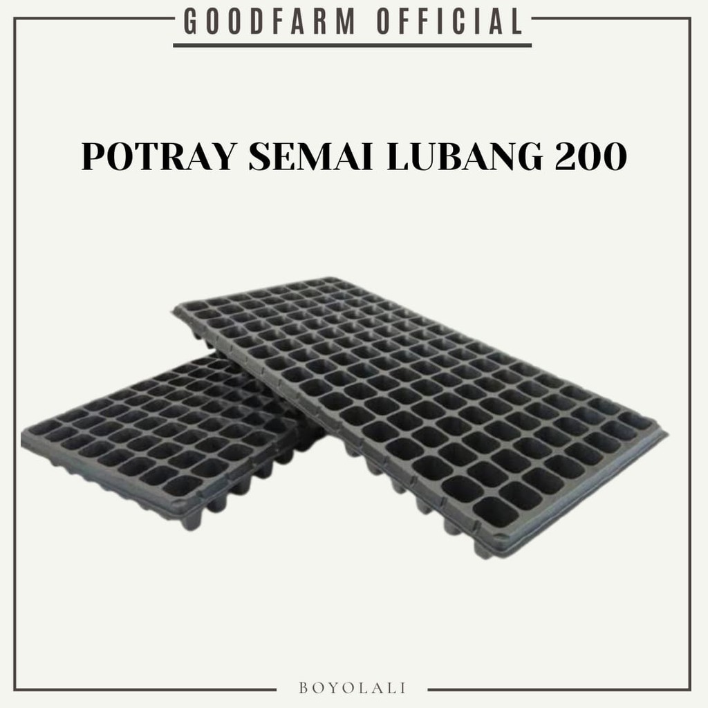 POTRAY SEMAI 200 LUBANG / SEMAI HIDROPONIK / ALAT SEMAI