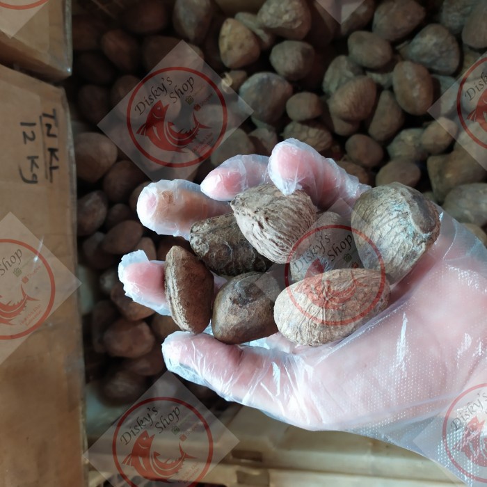 

Kluwek Grade A 100 gr