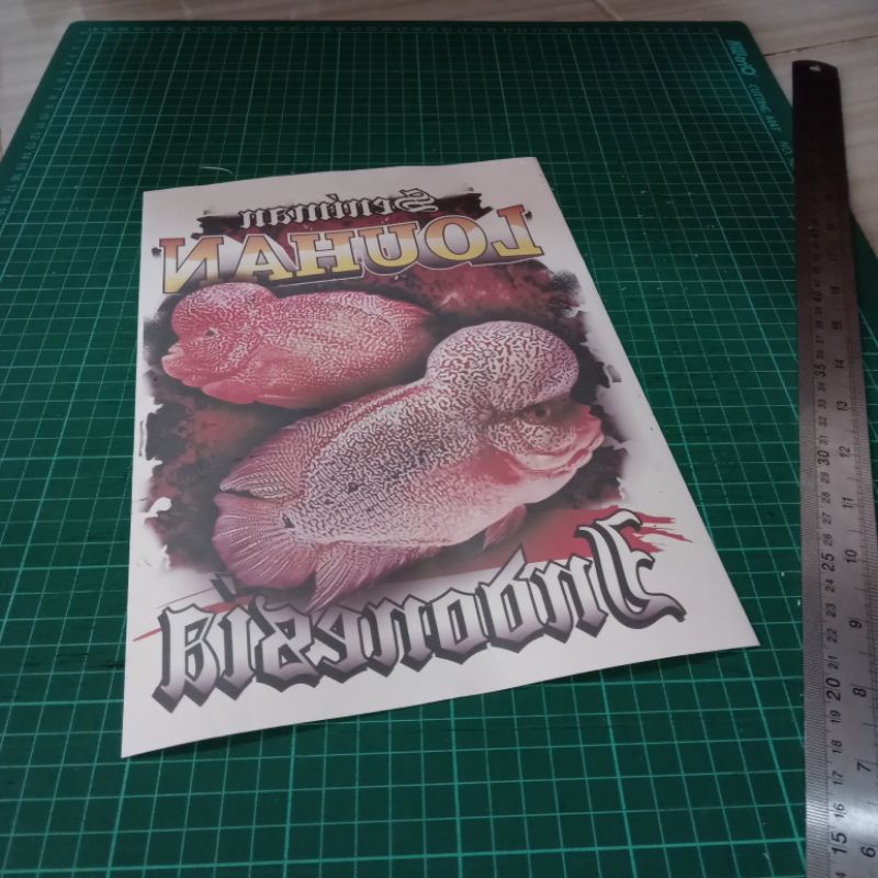 

print sublim A4