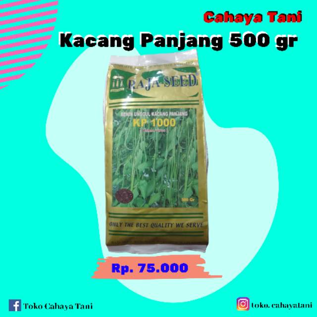Bibit Kacang Panjang KP 1000"Raja Seed"