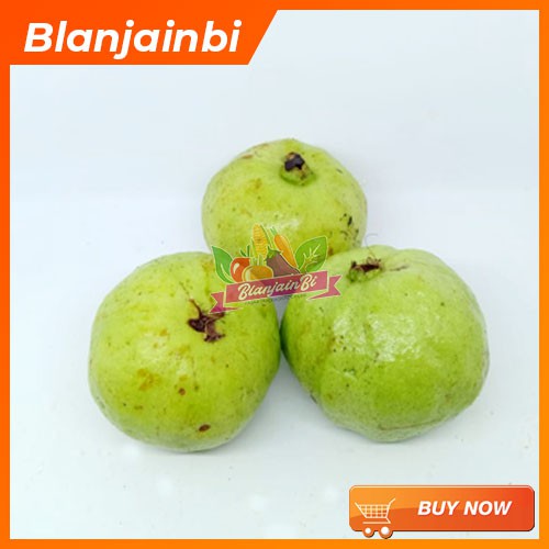 

Jambu Kristal Bandung Area
