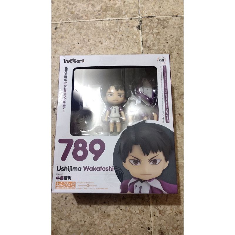 nendoroid haikyuu ushijima