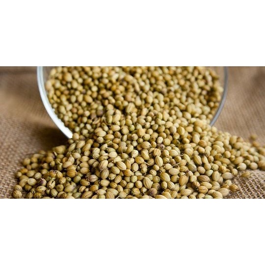 

Ketumbar bumbu masak 100 gr 250 gr 500 gr