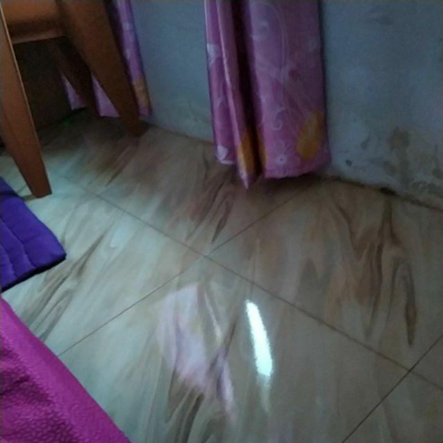Kuas Roll Cat Dinding Rumah Paint Roller Pintal Facil Mollar
