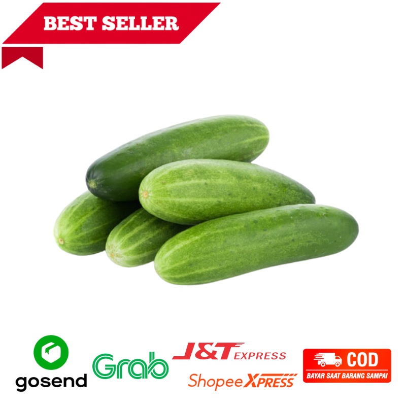 

Mentimun Timun, Bonteng Fresh, 500gr, sayuran sehat segar Bandung