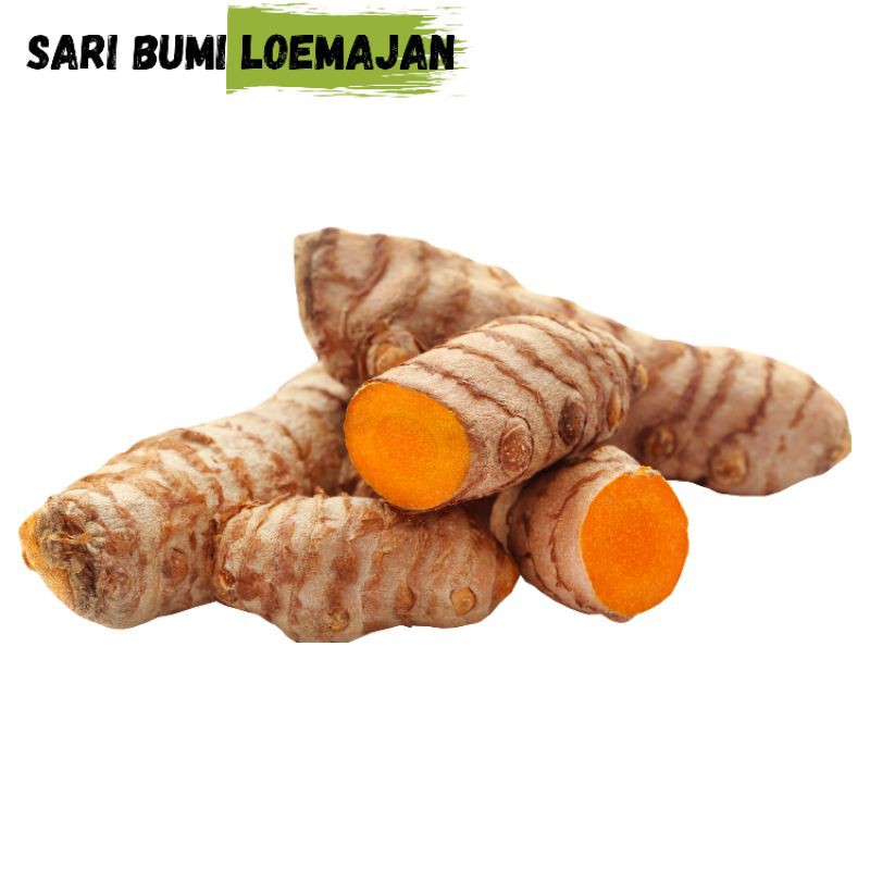 

kunyit 500 gram (sari bumi loemajan)