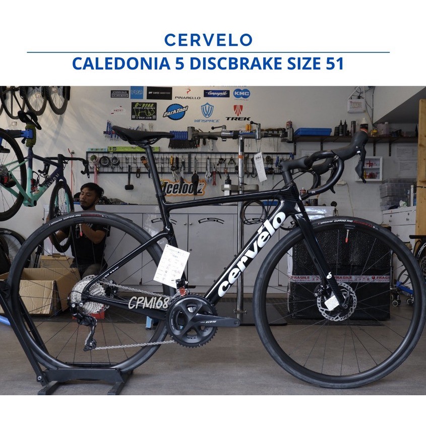 harga cervelo caledonia 5