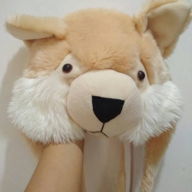 Animal Hat Topi Hewan Topi Beruang Lucu