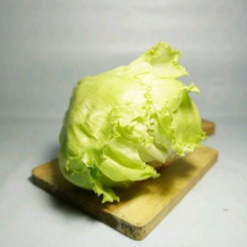 

lettucee fresh per biji
