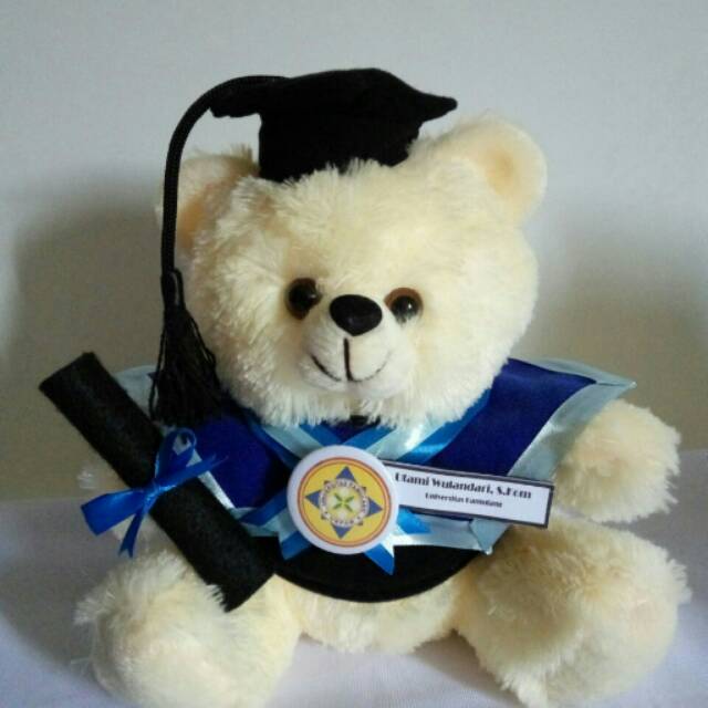 Boneka Wisuda teddy Bear murah Kado Graduation Hadiah Kelulusan Sidang skripsi gratis ongkir ultah