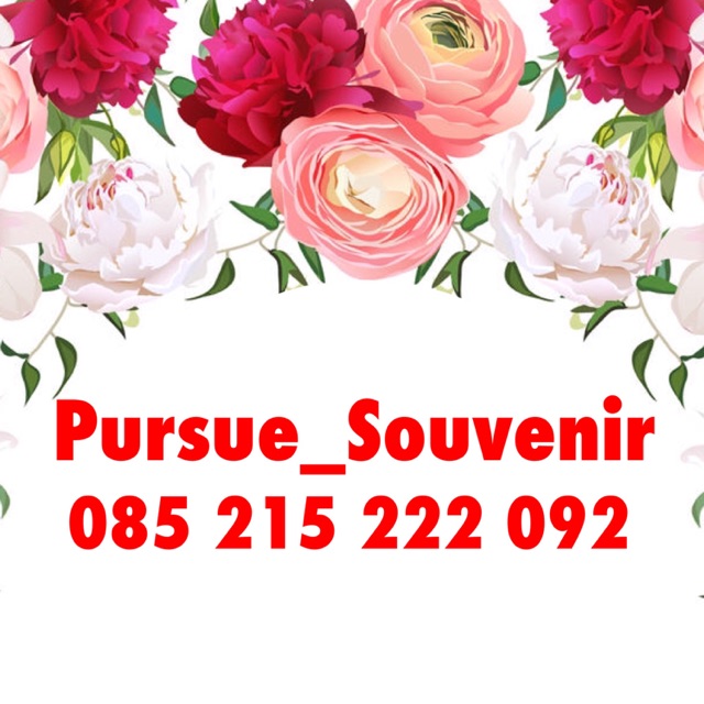 pursue_souvenir
