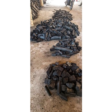 ARANG KAYU ASAM, RAMBUTAN, DNA KELAPA