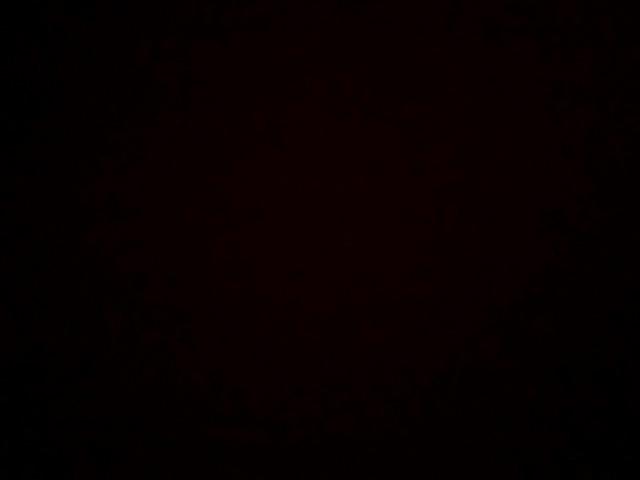 Blossom Sambel Dish (1)