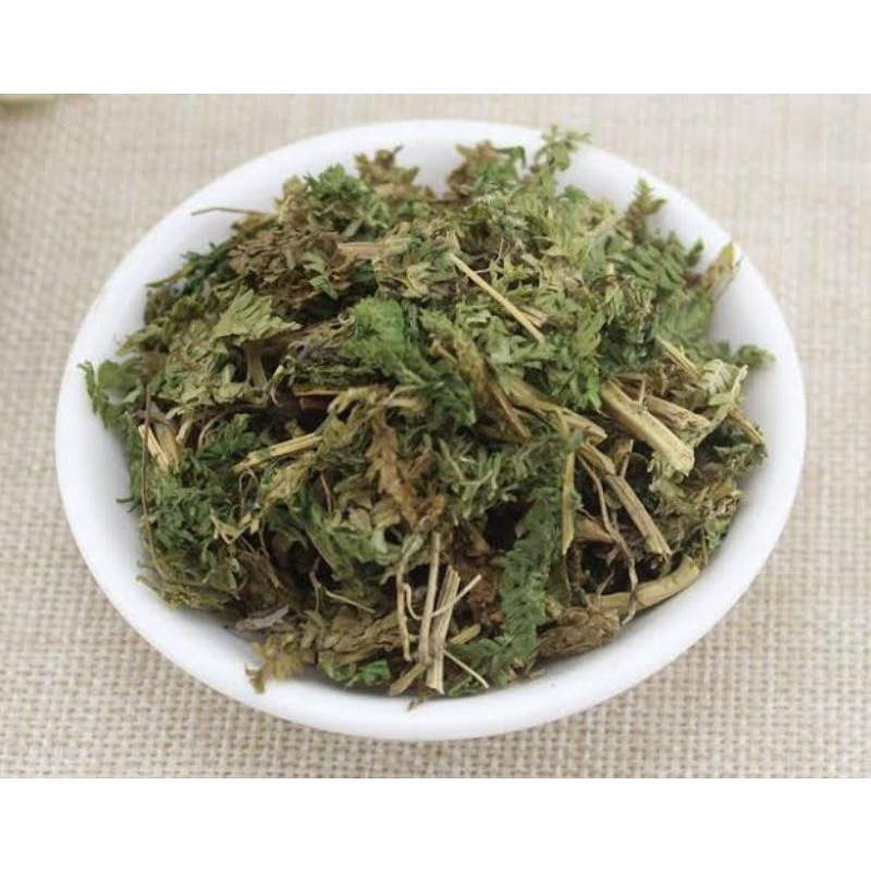 

100gr Herbal Shi Shang Bai 石上柏 Herba Selaginellae Doederleinii