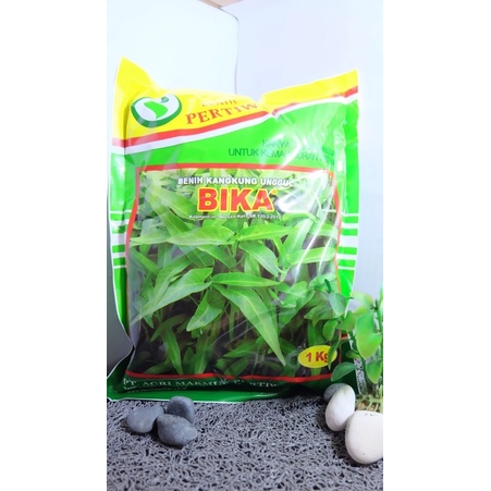 Benih Kangkung BIKA 1Kg Benih Kangkung Unggul