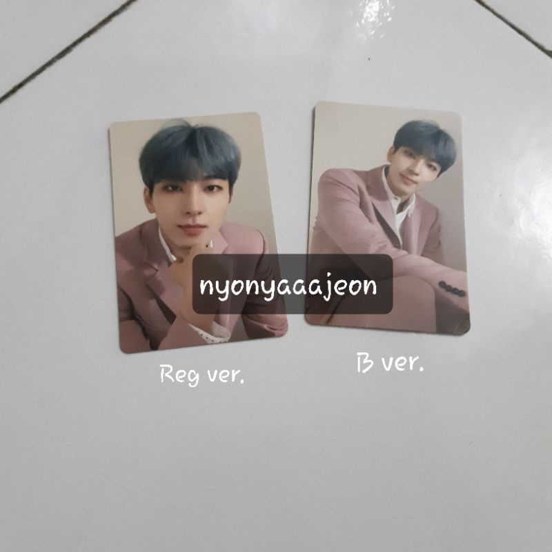 WONWOO - PHOTOCARD ALBUM FALLIN' FLOWER