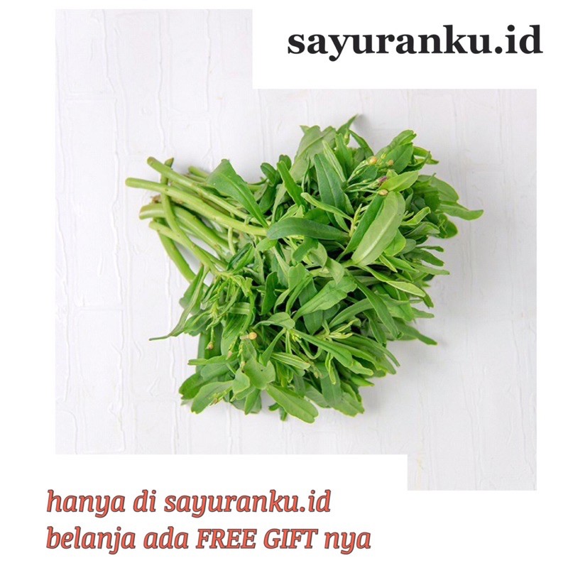 

daun gingseng per ikat sayur segar sayuran fresh pasar murah pasar jakarta