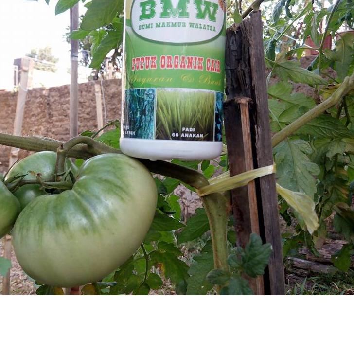 ۝ Pupuk Organik Cair - POC (BMW) ➤