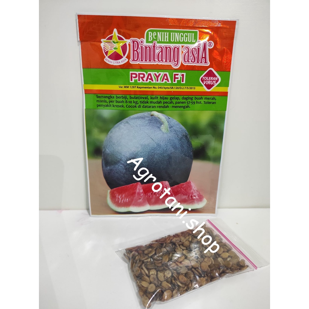Benih Semangka Merah PRAYA F1 Kemasan Repack - Bintang Asia