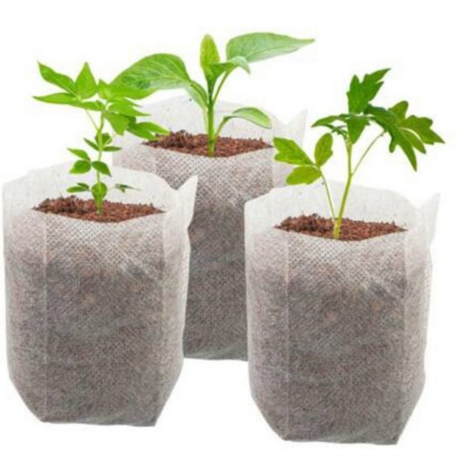 SEEDLING BAG JUMBO 24 X 20 CM PACK ISI 100 LEMBAR pot semai benih 3L