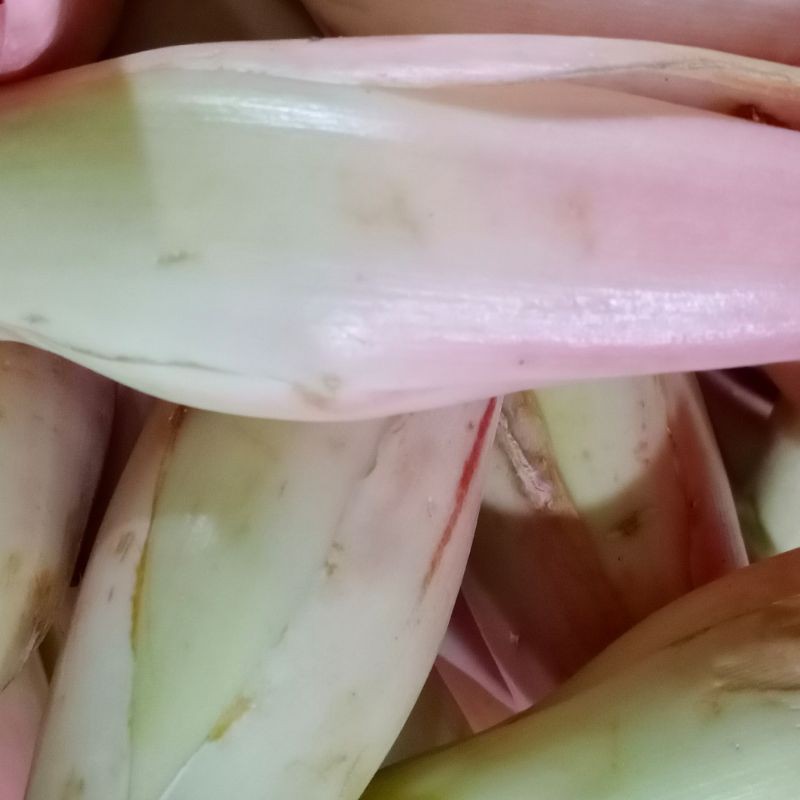 

RB Bunga Kencong Fresh Segar 1kg / Rias / Kecombrang / Combrang / Kincung