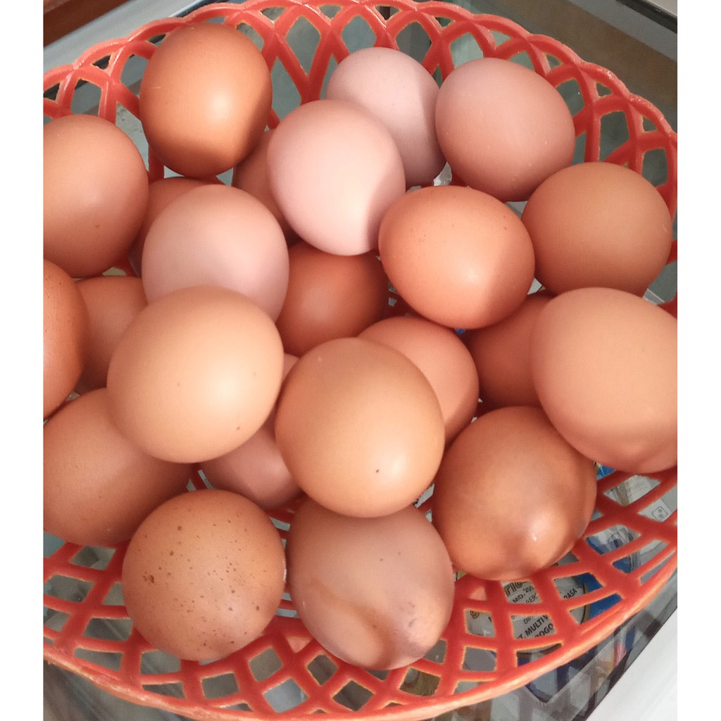 

Telur Ayam