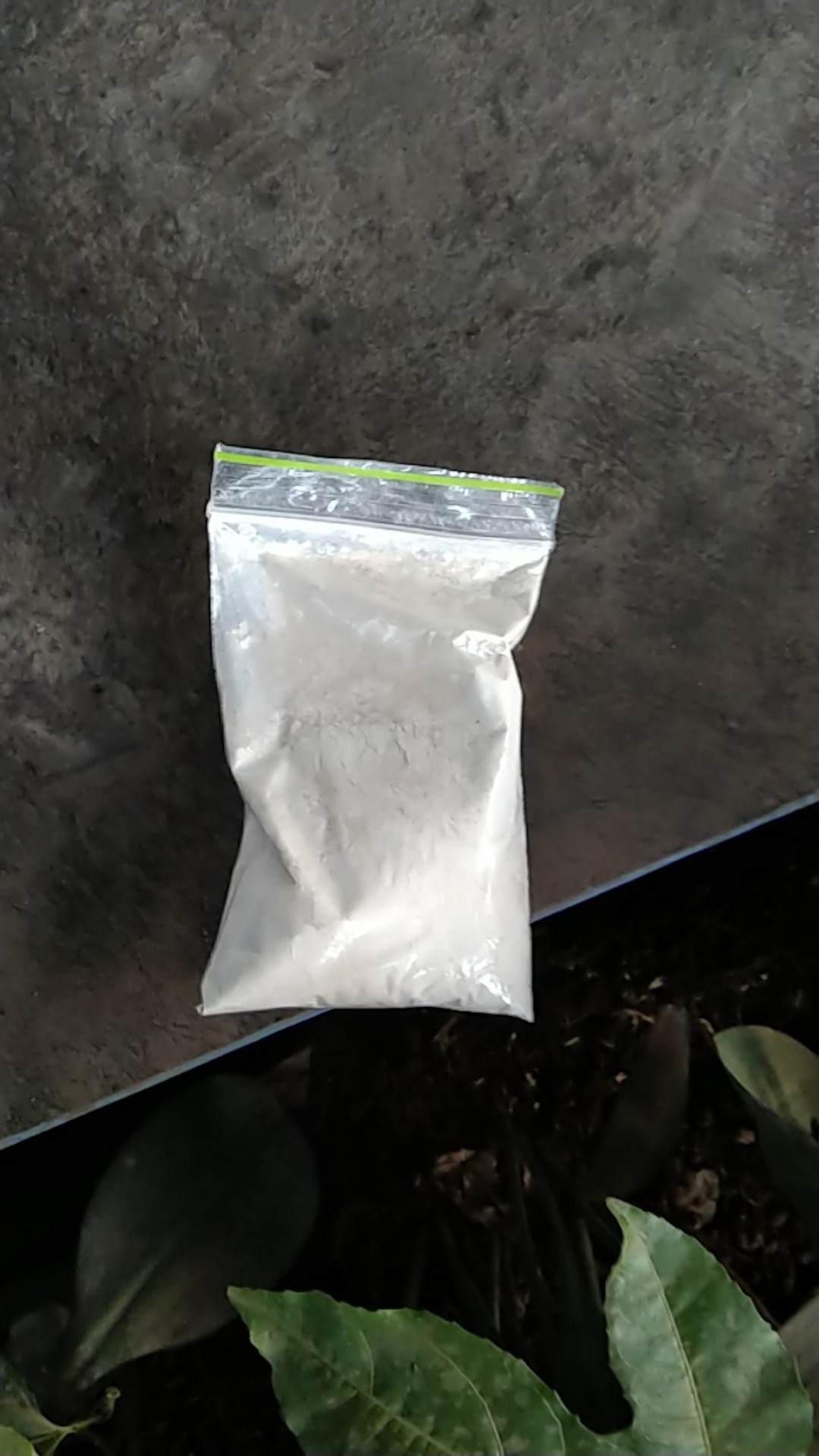 Fungisida Pestisida Antracol 35gram Repacking