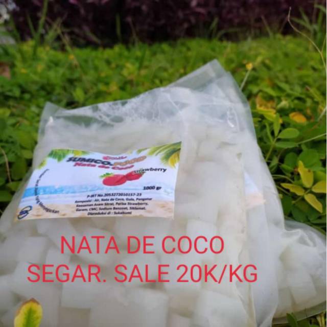 

Nata de Coco segar