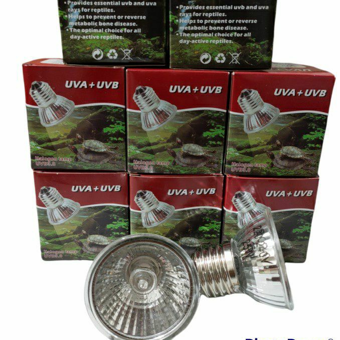 Lampu reptile kura kura kadal UVA UVB 3.0 lampu pemanas /penghangat sulcata rptil