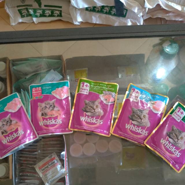 WHISKAS POUCH SACHET 85G/80G 1+ dan WHISKAS JUNIOR TUNA WET CAT FOOD untuk anak kucing