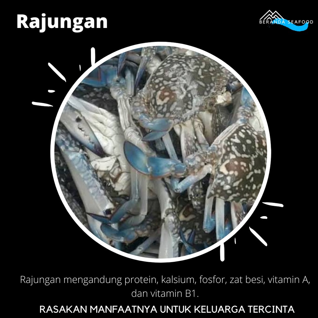 

Rajungan Segar (kualitas super premium)