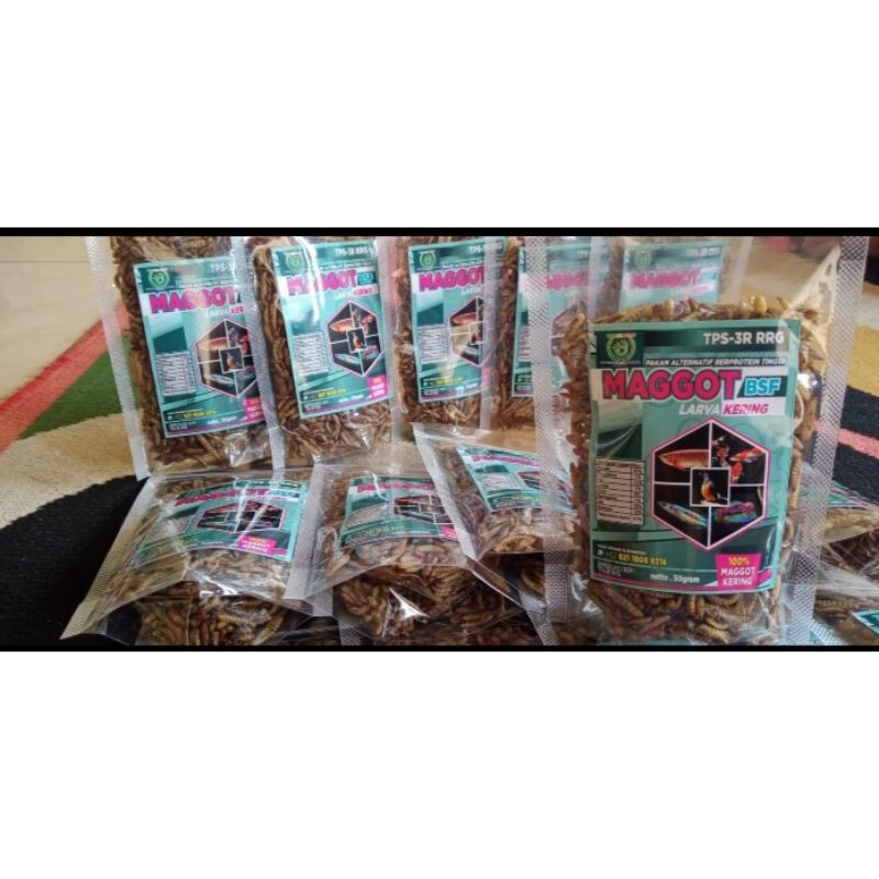 maggot BSF/ pakan ikan/larva lalat kering