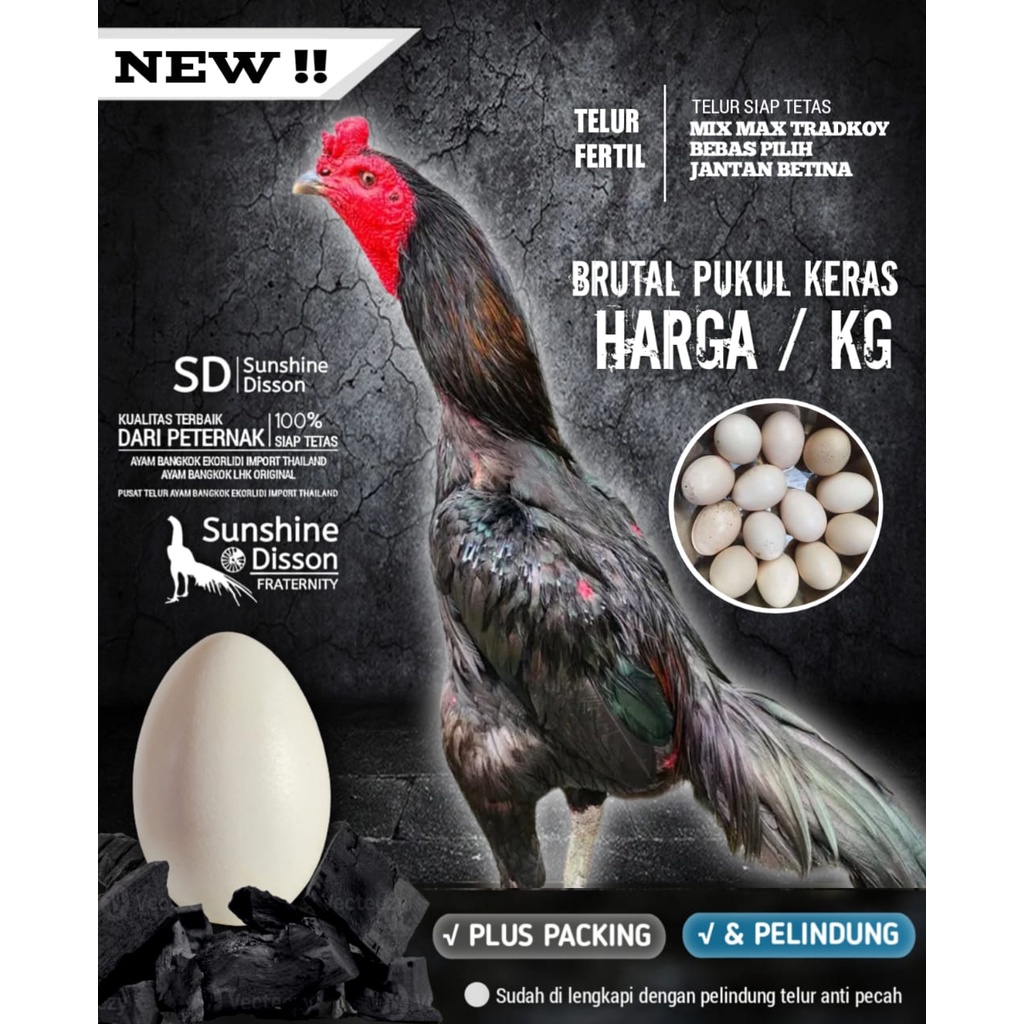 ayam bangkok pakhoy line blackrose f1 telur tetas per kg siap kirim