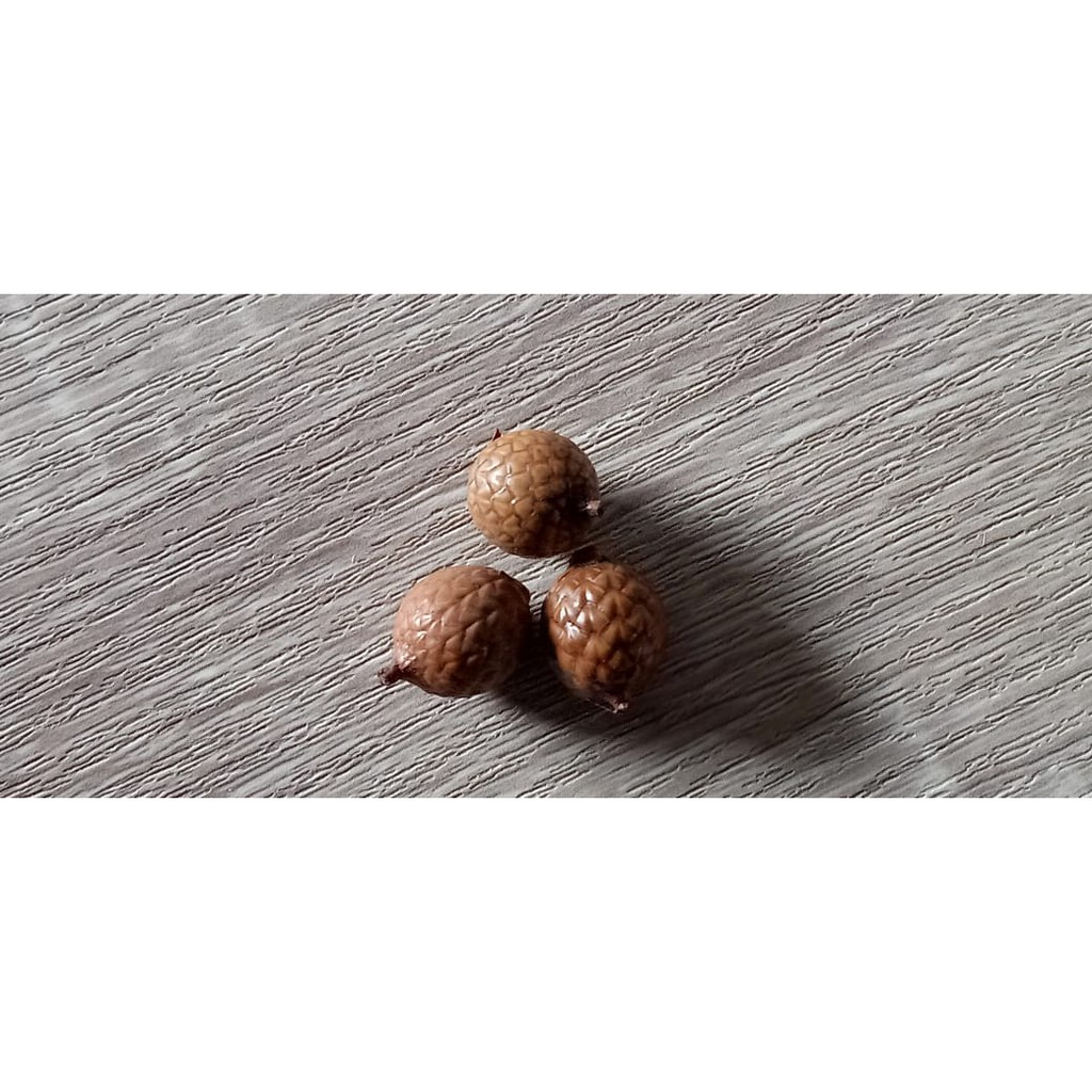 Biji pinus bahan mahar rustic mini