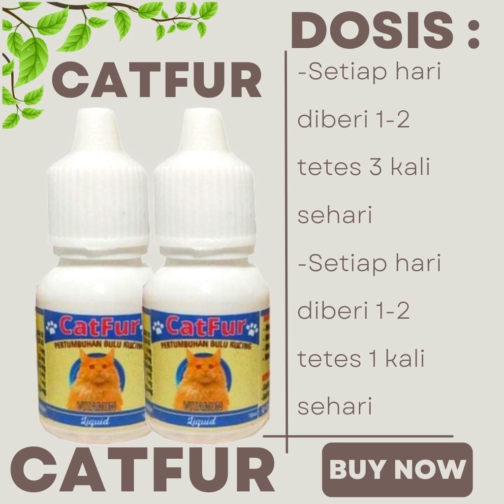 Vitamin Bulu Kucing Obat Penumbuh Bulu Rontok Vitamin Penumbuh Bulu Kucing Catfur FEZONE