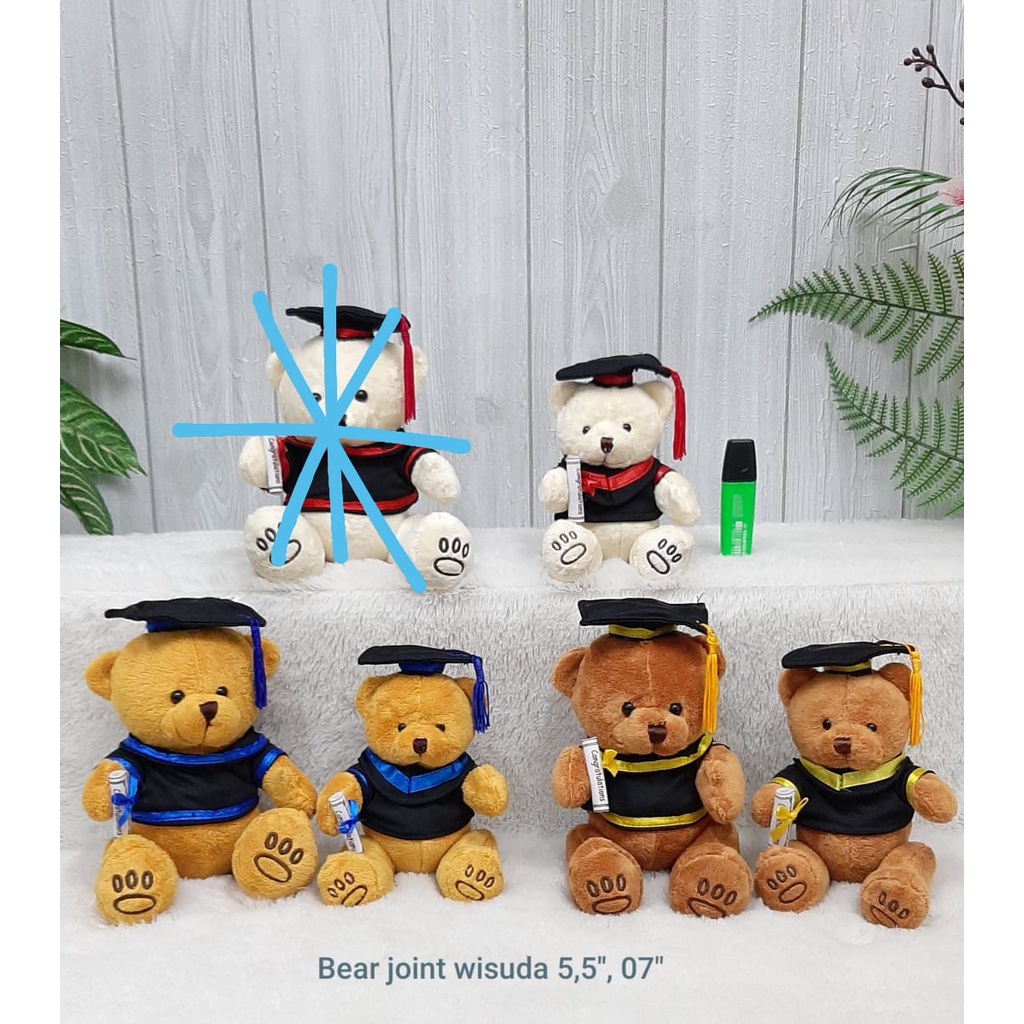 boneka toga teddy bear wisuda graduation 20cm