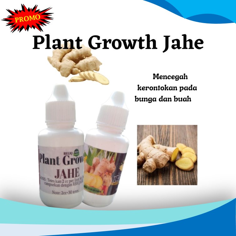 Pupuk Jahe Merah Organik Plant Growth Jahe Pupuk Jahe Yang Bagus
