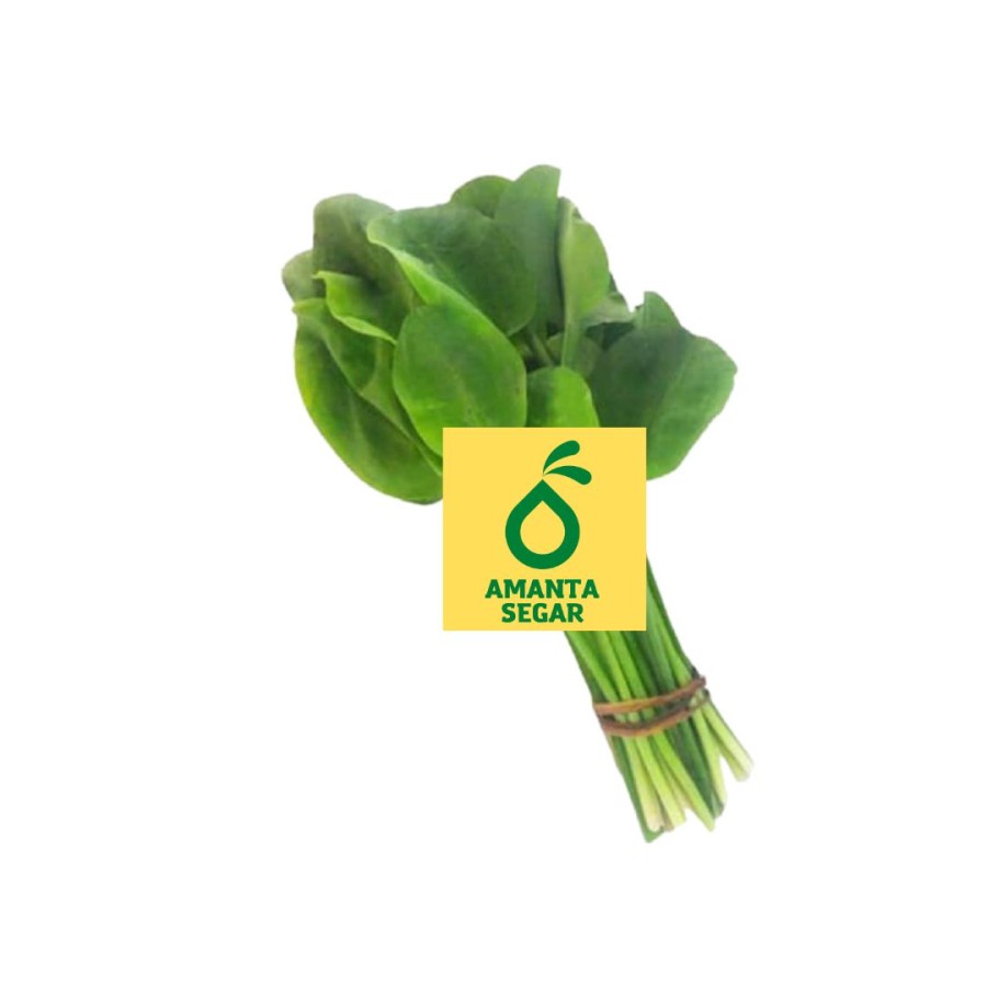 

Amanta Segar Bogor | Sayur Daun Genjer Segar Fresh Berkualitas 1 Ikat