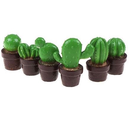 iniatures - Terrariums - Fairy Garden - Cactus (1pc)