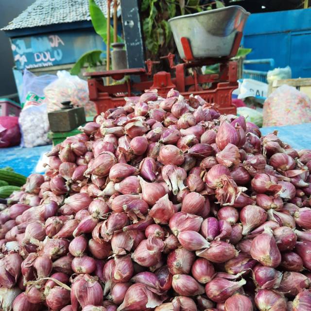 Harga bawang 1kg