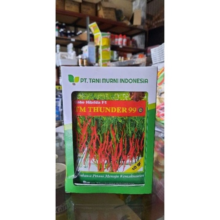 

Cabai kriting TM thunder f1 isi 10gram