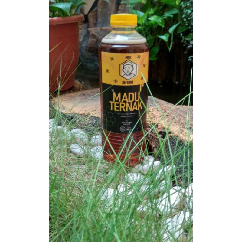 

madu ternak 500ml