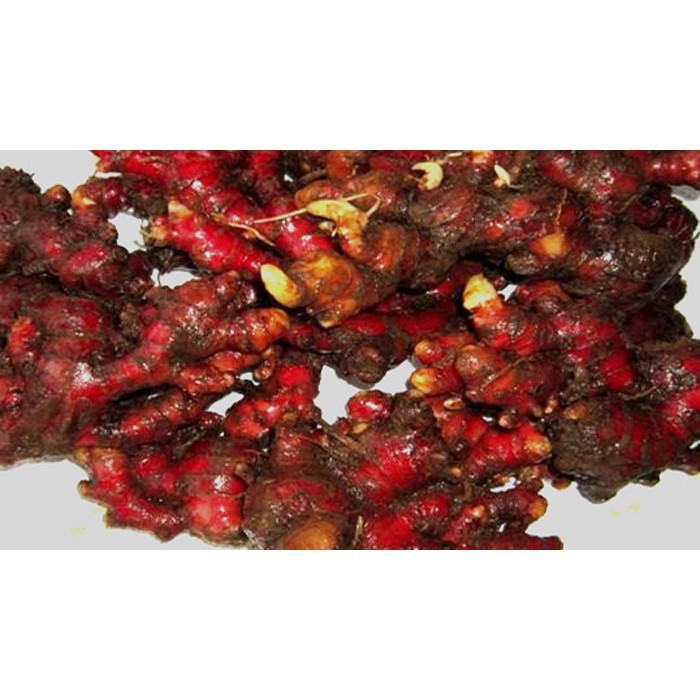 

Jahe Merah Fresh 500 Gram