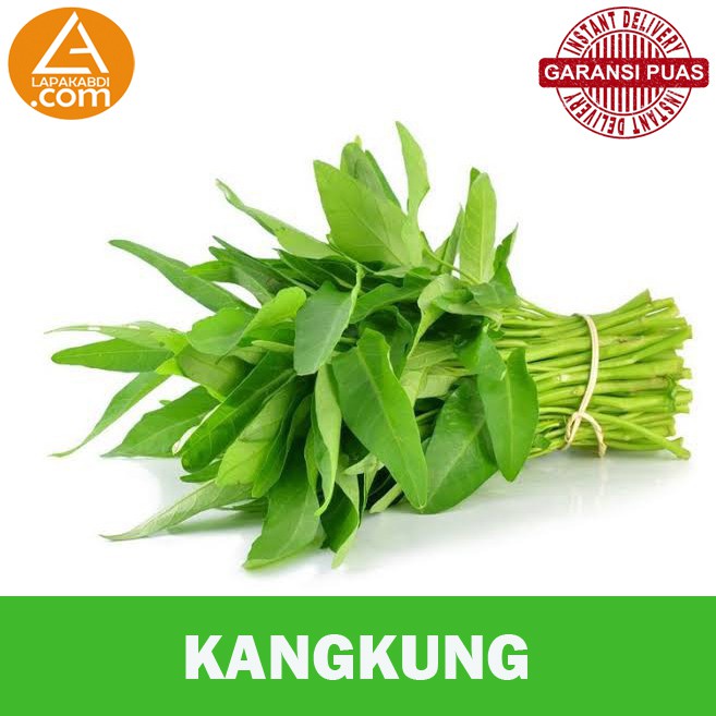 

Kangkung 1 Ikat Sayur Segar Garansi Termurah