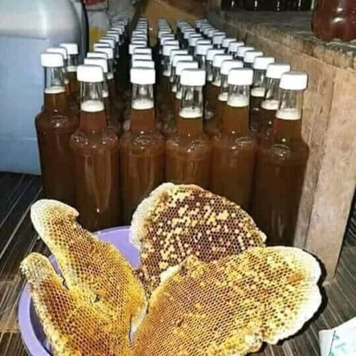 (gosend) Madu murni dari peternakan madu