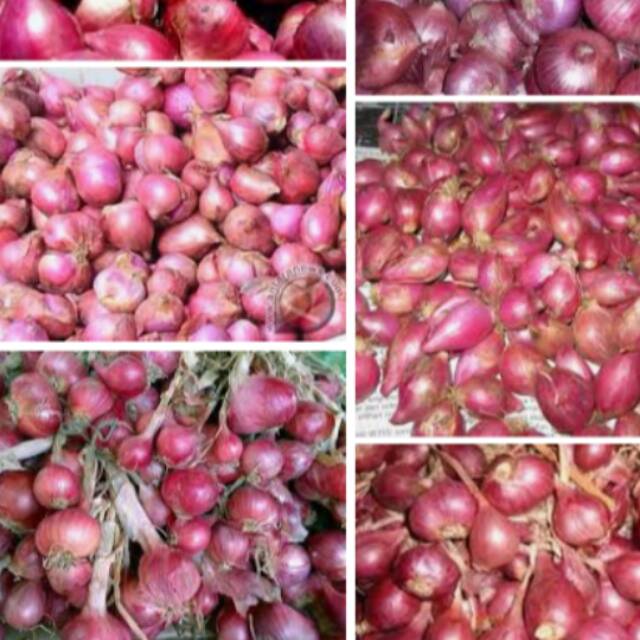 

Bawang merah