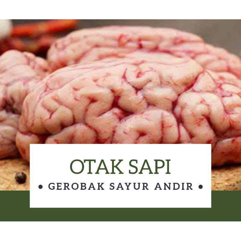 

OTAK SAPI FRESH /pcs