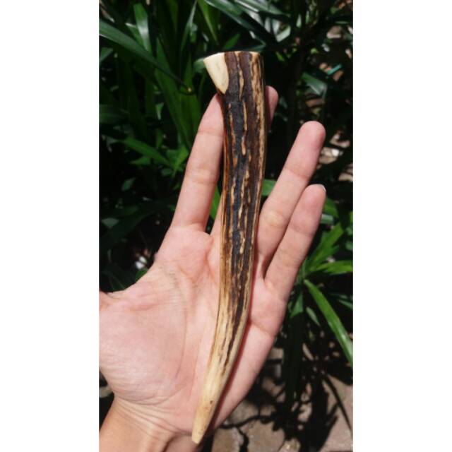 Jual Pipa Rokok Tanduk Original Murah Promo Akhir Tahun Shopee Indonesia