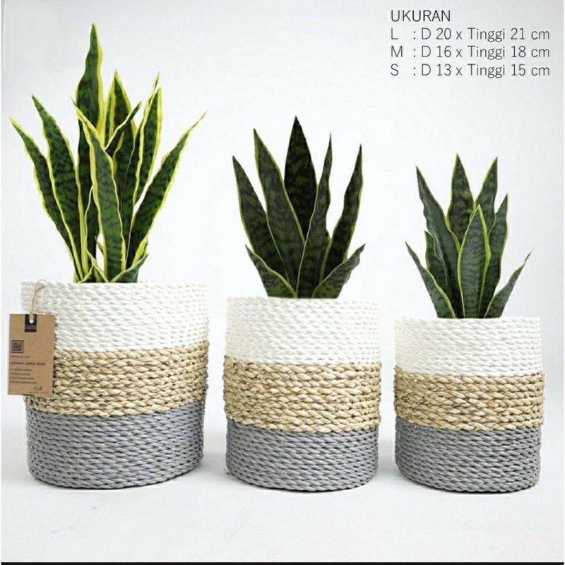 HOME DECOR / cover pot bulat segrass isi 3